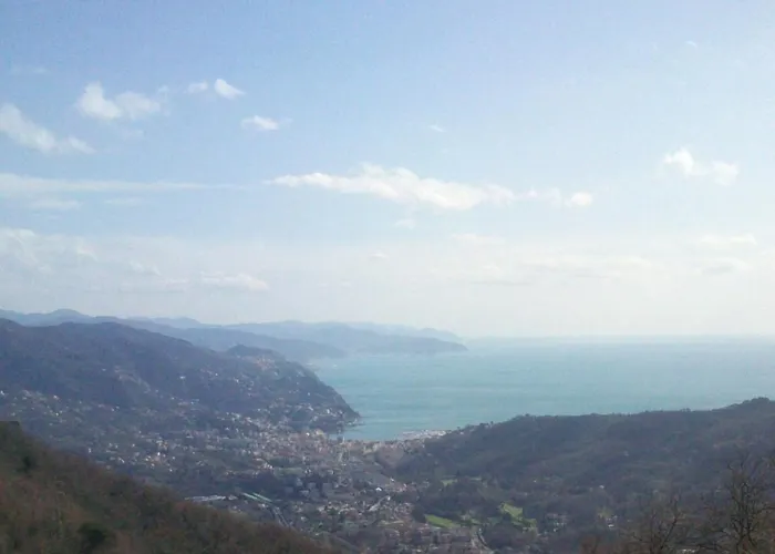 Апартаменты In The Historic Center, 80 M From The Sea *