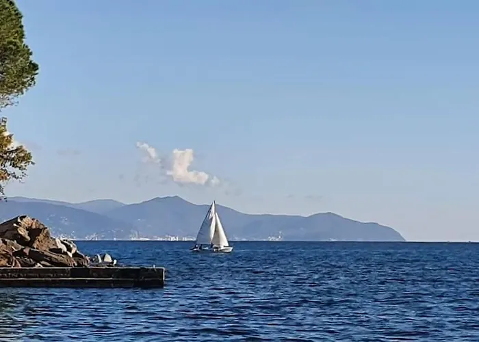 In The Historic Center, 80 M From The Sea * Rapallo